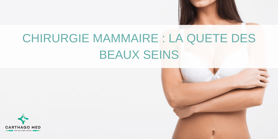 la quete des beaux seins